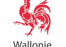 La promotion de la santé et la prévention en Wallonie en 2016