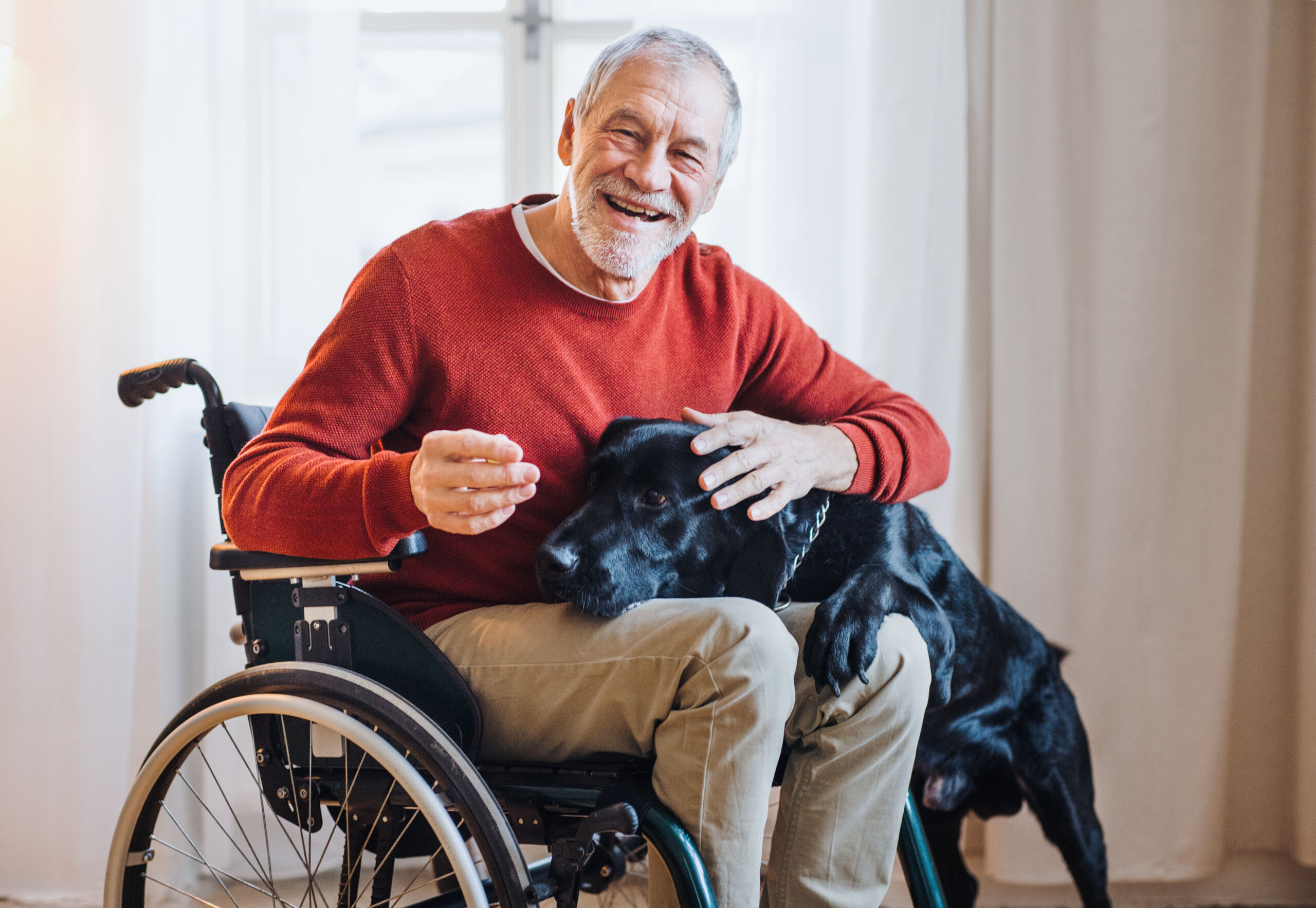 a disabled senior man in wheelchair indoors playing with a pet dog at home.
