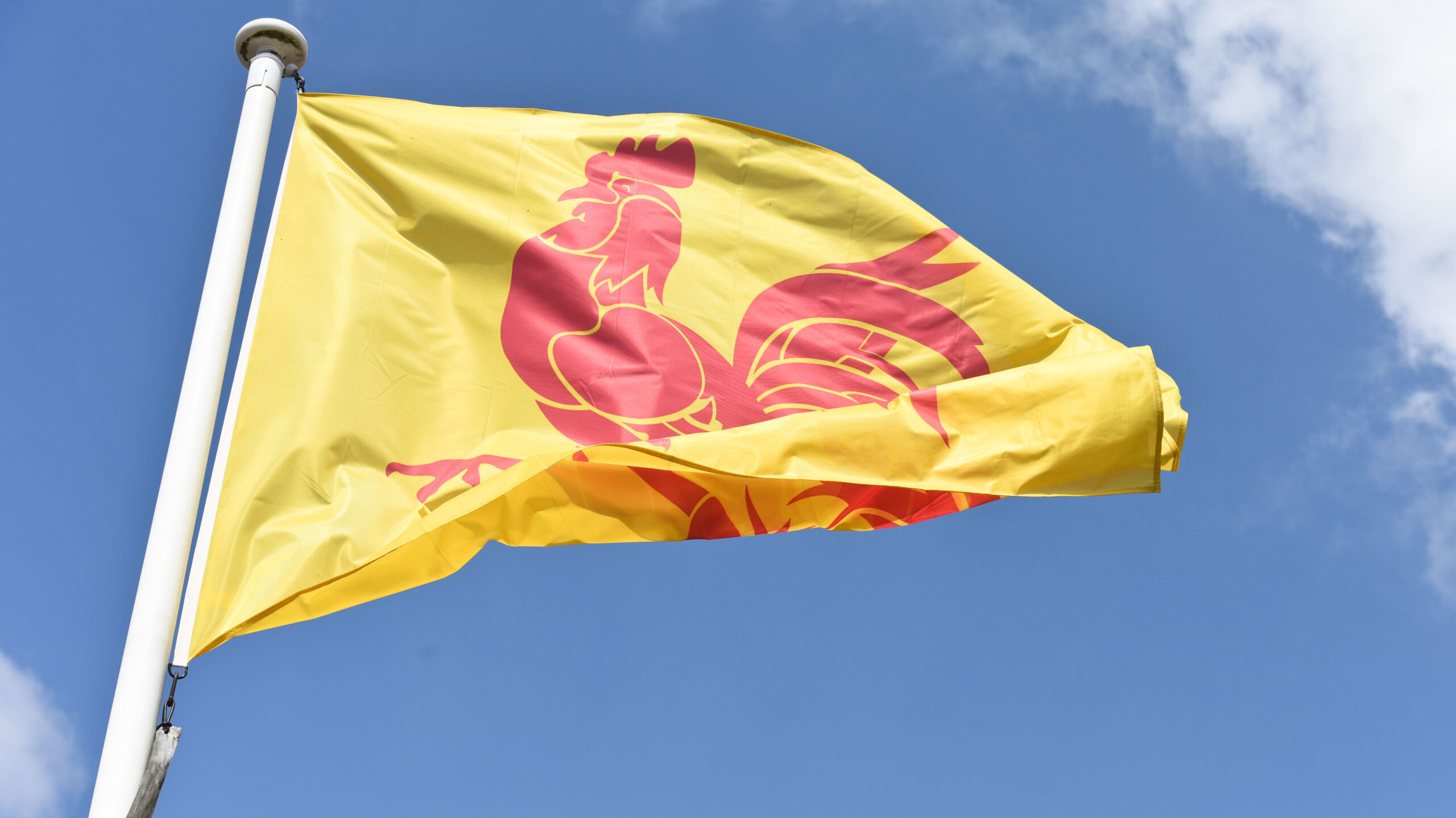 drapeau de la région wallonne
