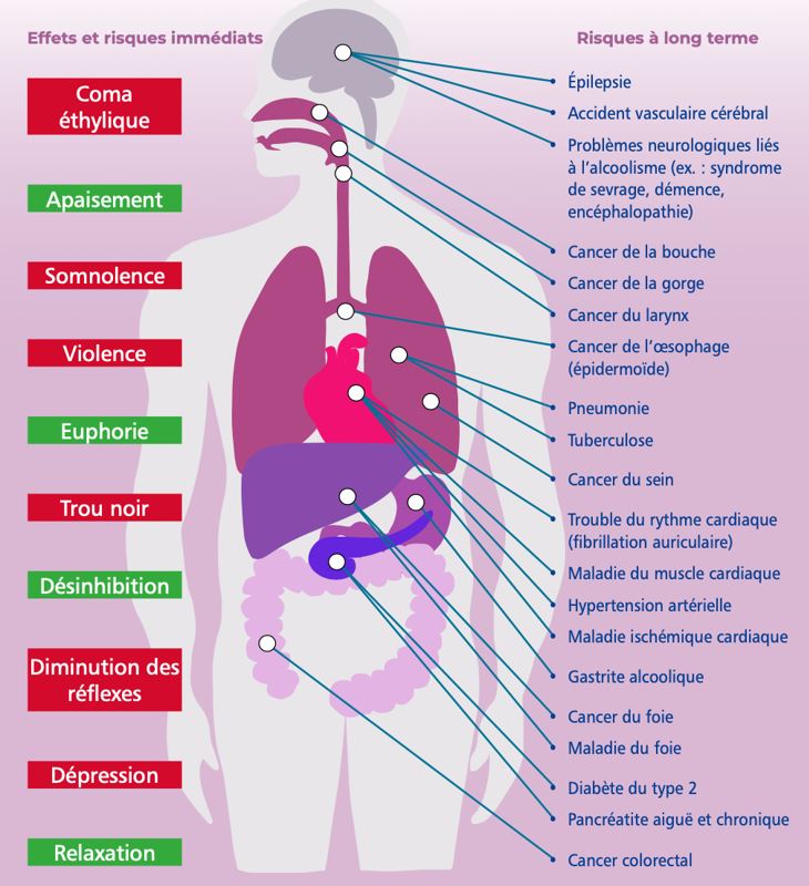 effet alcool risques sante