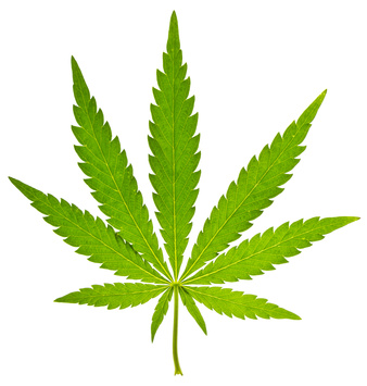 Légalisons le cannabis!